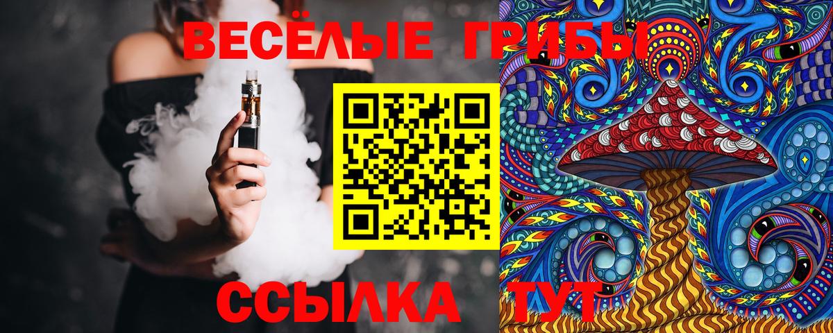 Галлюциногенные грибы GOLDEN TEACHER Владикавказ