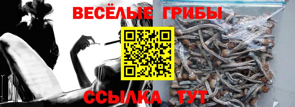 Владикавказ  Псилоцибиновые грибы GOLDEN TEACHER  Вход с VPN 